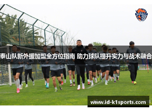 泰山队新外援加盟全方位指南 助力球队提升实力与战术融合